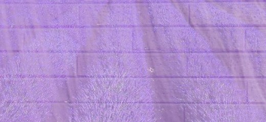 The Book is Always Better