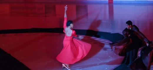 Finding Collective Genius between Earth and Ice 