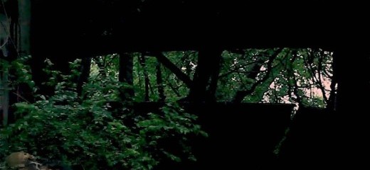 Growing the home within