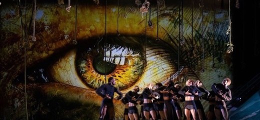 A Ballet for Everyone