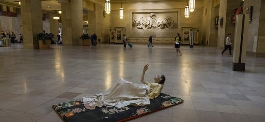 Petals on a wet, black bough