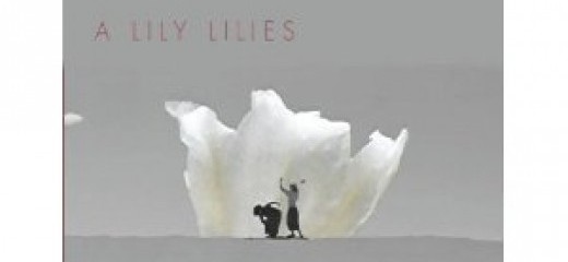 A Lily Lilies: Leah Stein, Josey Foo and the Desert of Page  