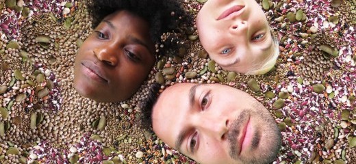 The Gustatory Play: Feed