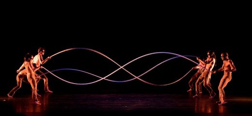 How Many Spokes Make Up The Pilobolus Wheel?  