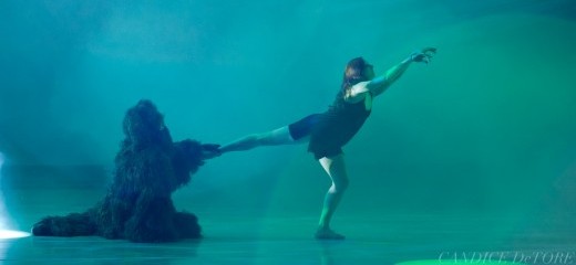 Let’s Just SHUT UP & DANCE Already!