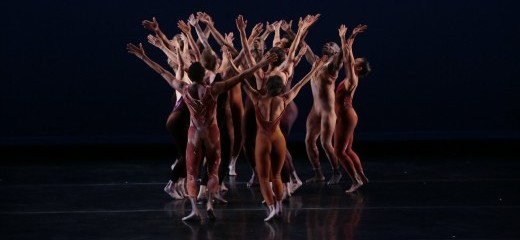 Taking Flight with Limón