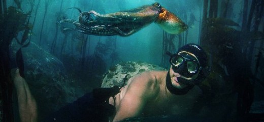 Dance Films Provide Pandemic Solace